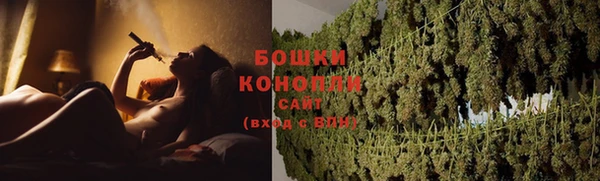 прущие крисы Вяземский