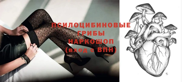 твердый Вязьма