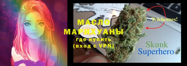 прущие крисы Вяземский