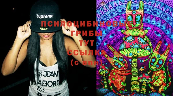 прущие крисы Вяземский