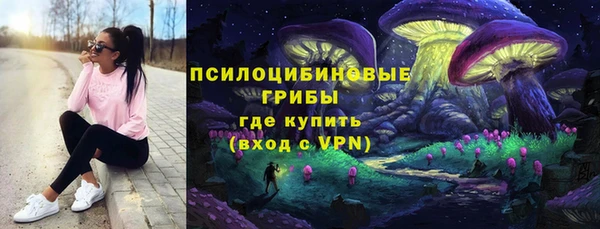 твердый Вязьма