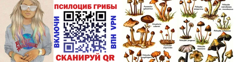 Галлюциногенные грибы мухоморы  сколько стоит  Махачкала 